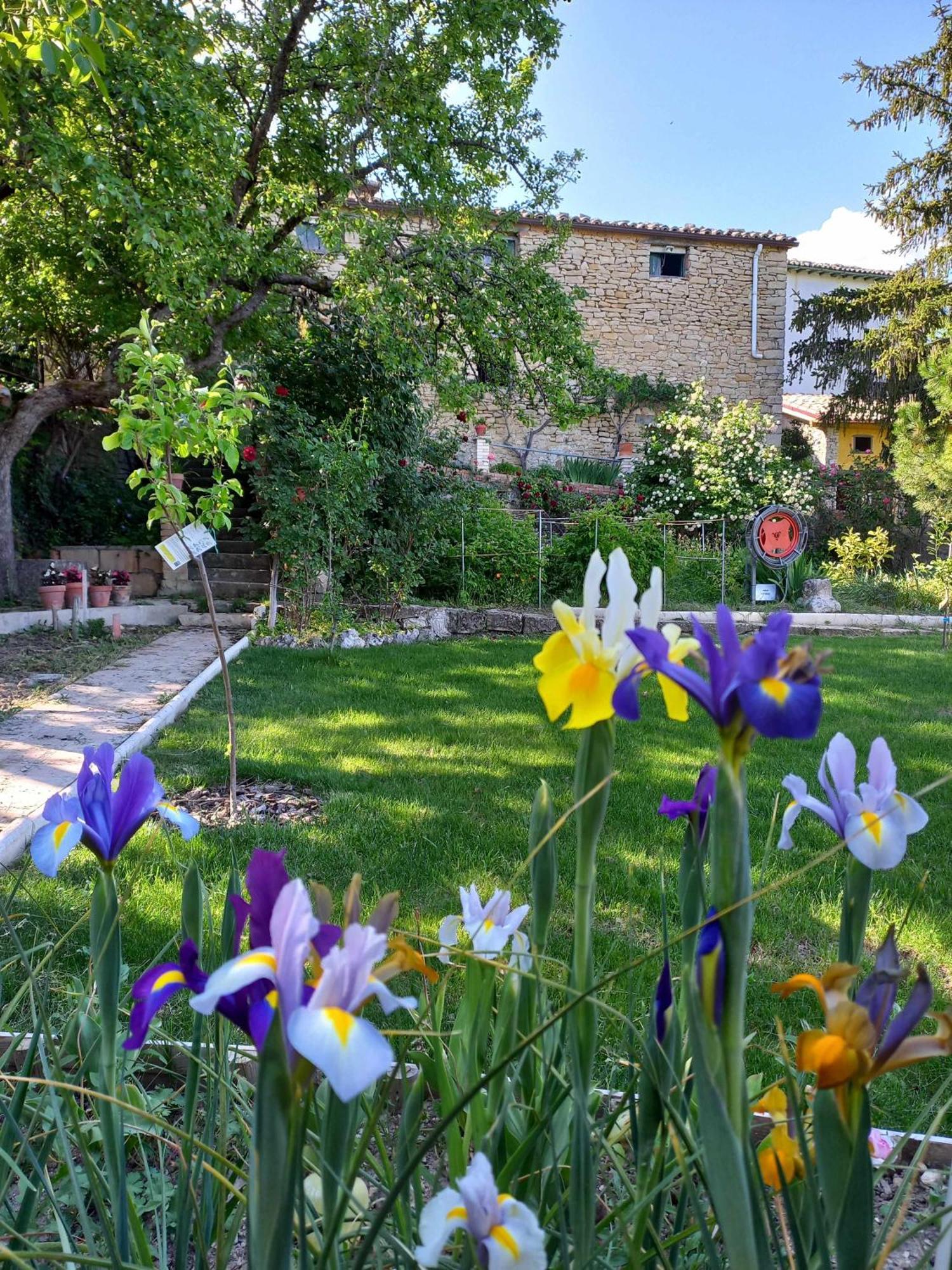 Casa Albaitar Con Piscina Y Sala De Juegos Azcona Bagian luar foto